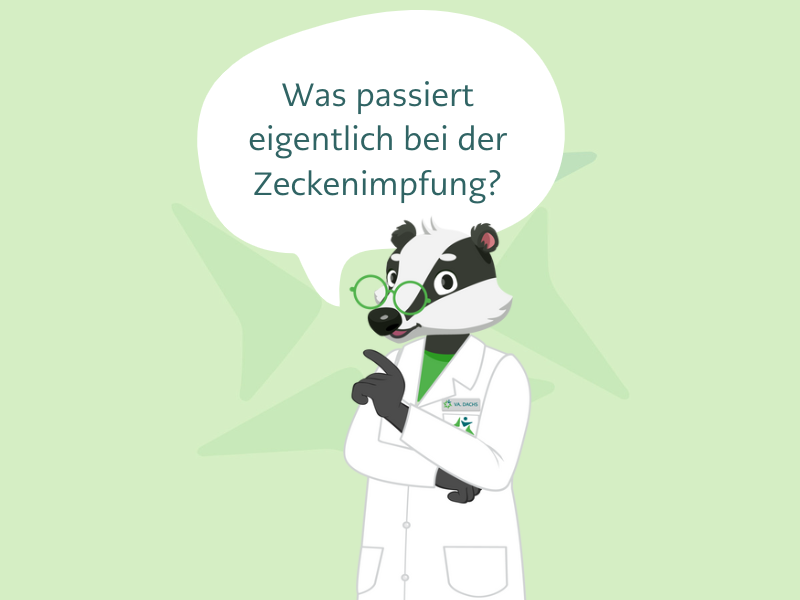 Symbolbild Zeckenimpfung 